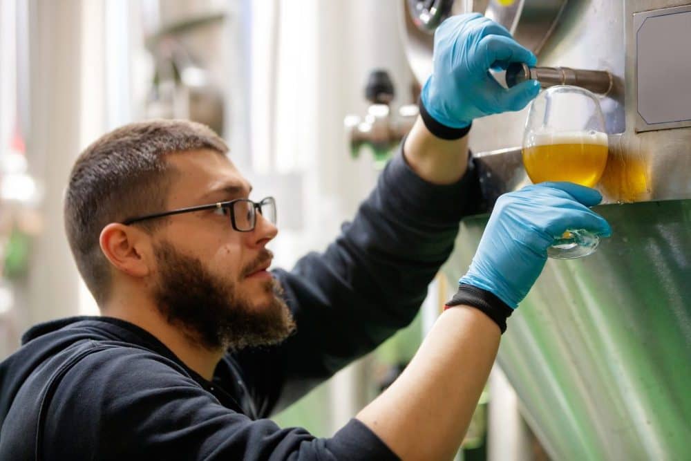 Bryggmästare testar öl från en fermenteringstank
